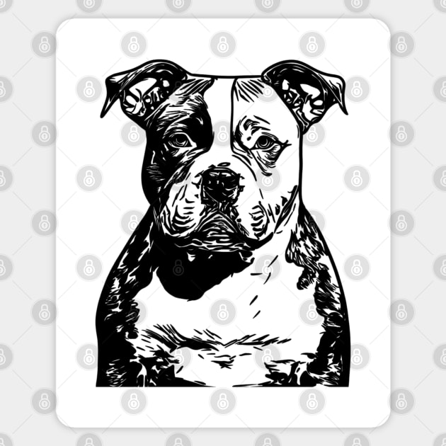 American bully Magnet by Morishasha